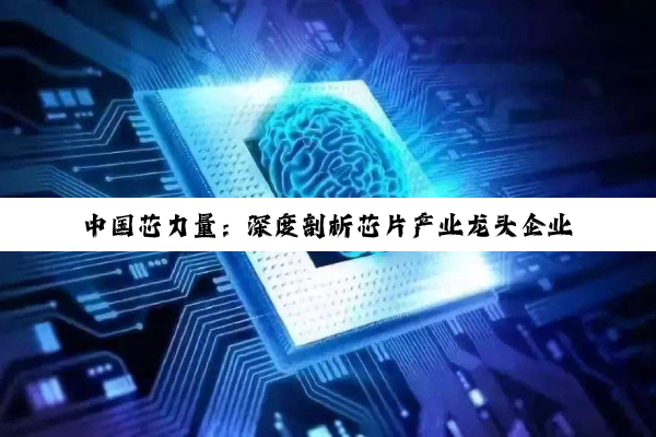【科普解答】中国芯力量：深度剖析芯片产业龙头企业的崛起与未来