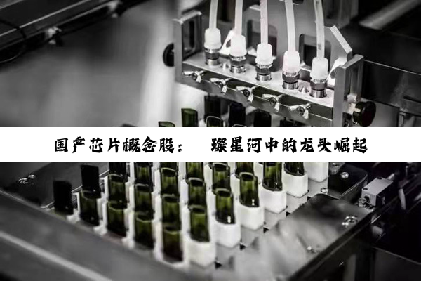 【科普解答】国产芯片概念股：璀璨星河中的龙头崛起与未来展望