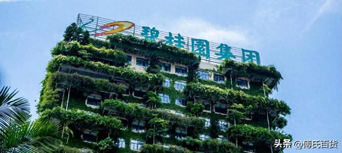 黎明前，碧桂园卖掉长鑫科技，天亮后，痛失420亿